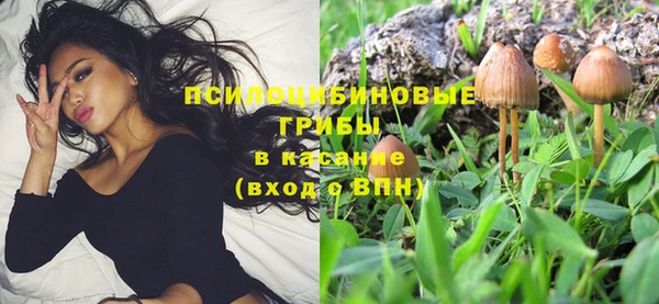 шишки Алексеевка