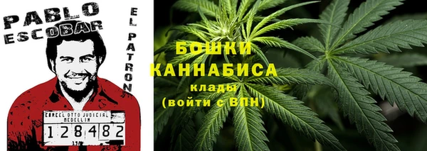 шишки Алексеевка