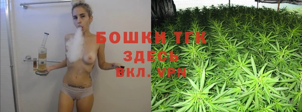 шишки Алексеевка